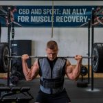 Cbd et sport : un allié pour la récupération musculaire